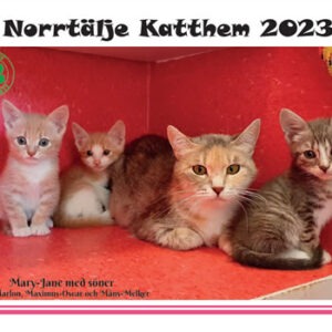 Almanacka 2023
