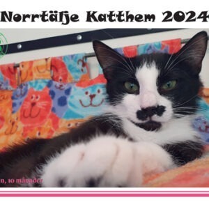 Almanacka 2024