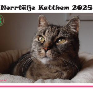 Almanacka 2025