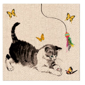 Servett - Cat Playing