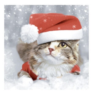 Servett - Kitten Christmas