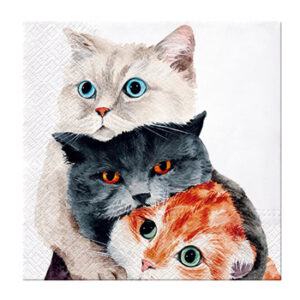 Servett - Cats Better Together