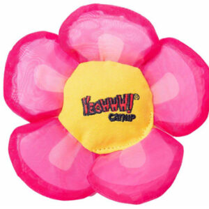 Yeowww! Catnip Blomma