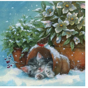 Servett - Kitten sleeping