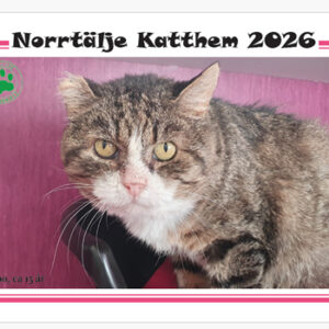 Almanacka 2026